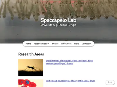 Spaccapelo Lab