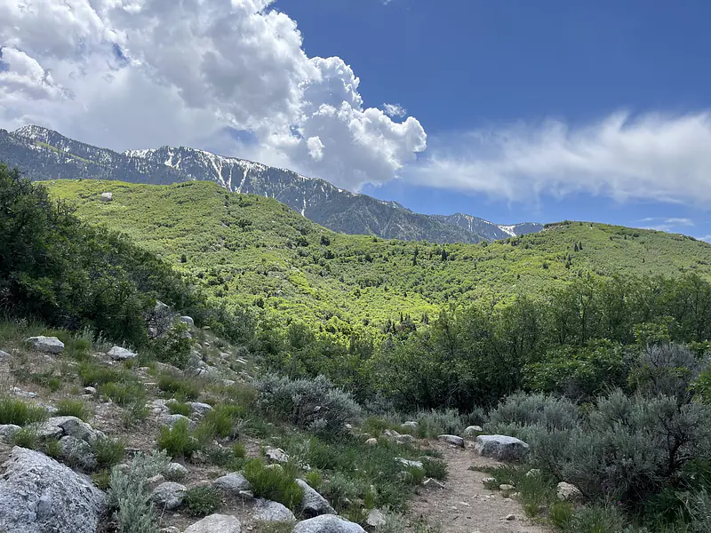Bells Canyon Trail in Salt Lake City