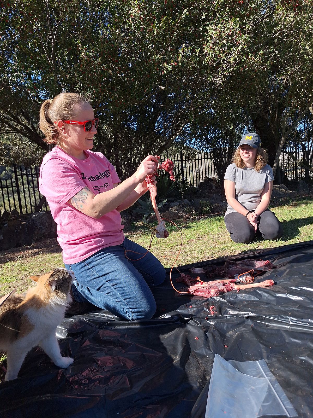 in the foreground a woman in a pink t shirt is kneeling on a tarp and holding a butchered limb of a springbok. A cat is nearby. A student watches in the background.