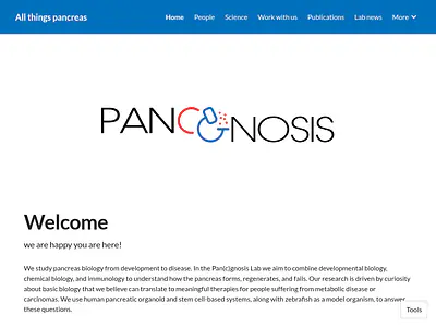 All things pancreas