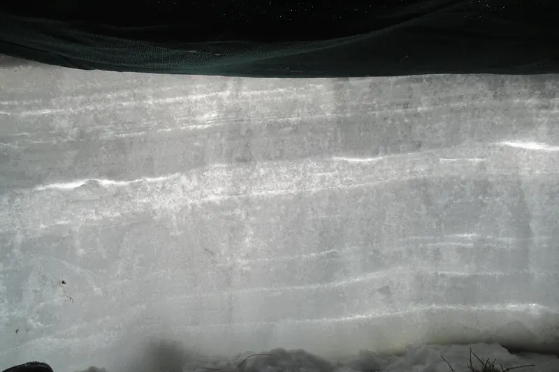 Snow layers in a cross section - Lautaret (France)