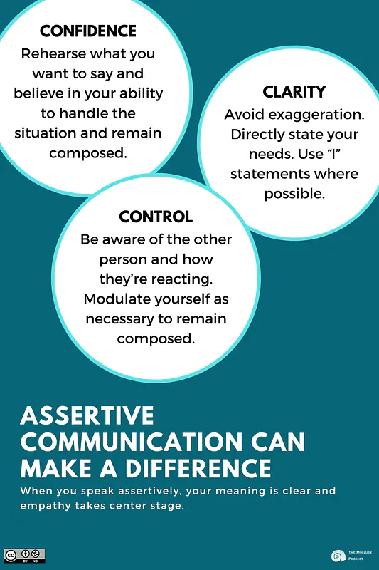 24x36in assertive communication poster
