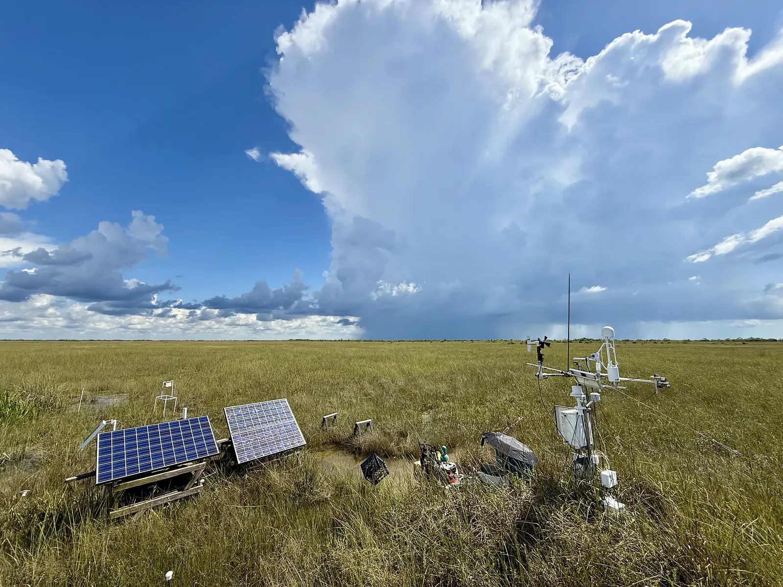 Taylor Slough flux tower (Ameriflux US-ESM, FCE LTER TSPH1), Everglades National Park, August 2025