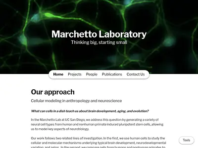 Marchetto Laboratory