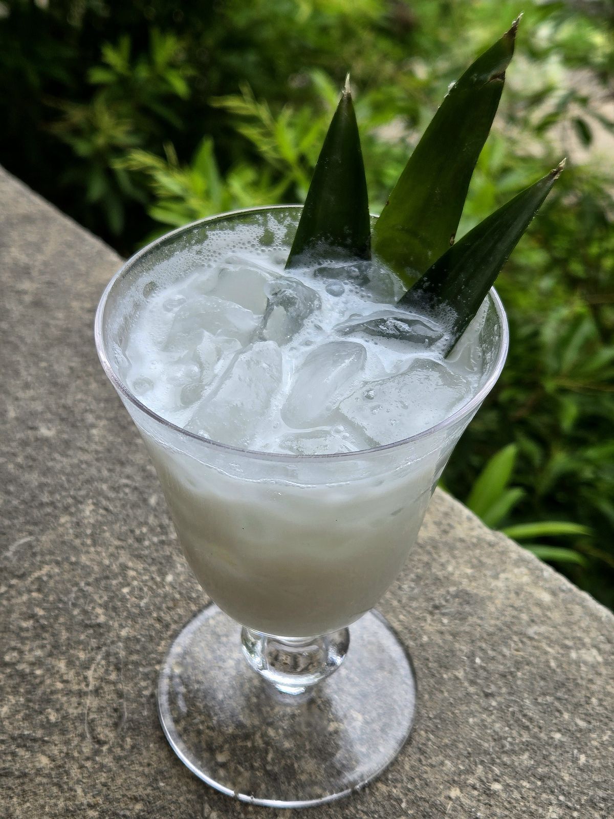 White Cloud rum cocktail with pineapple frond garnish in a vintage wine glass atop a stone wall.
