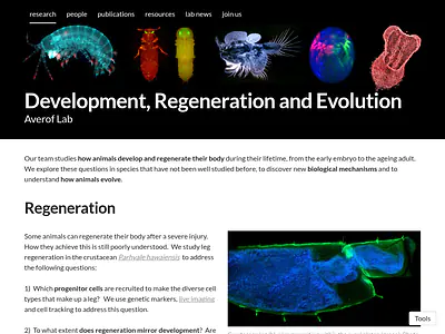 Development, Regeneration and Evolution