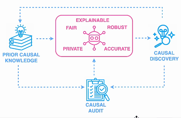 Causal ML Cycle Animated Gif Diagram