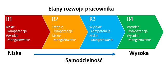 Etapy rozwoju pracownika