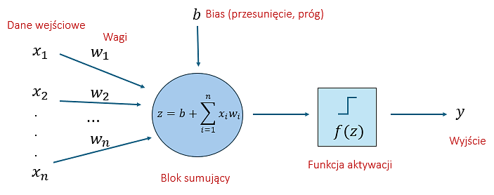 Budowa neuronu w sieci neuronowej (perceptronu)