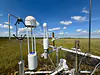 Flux tower (Ameriflux US-ELM, FCE LTER SRS2) Shark River Slough, Everglades National Park, May 2025