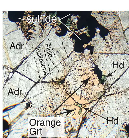 Fluid inclusions hosted in zoned andradite (green) with "grandite" (grossular/andradite; orange) rims, also showing hedenbergite and sulfide.