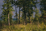 Banner image placeholder