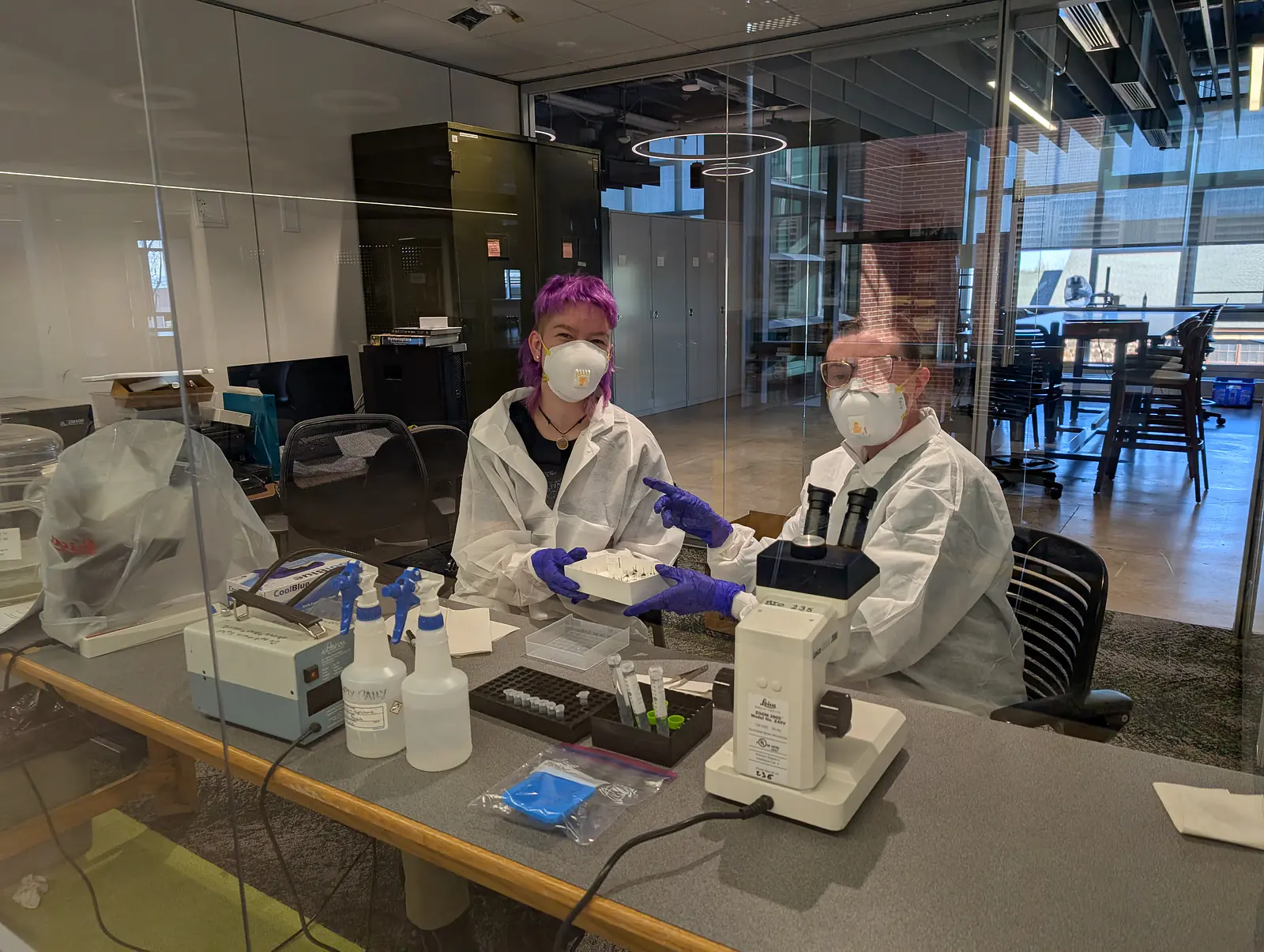 Erin Larson and Kelly Speer working on the aDNA project in the Northern Arizona Entomology Collection