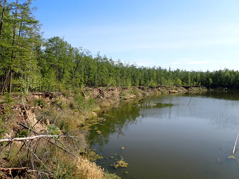 Russia, Republic of Sakha (Yakutia), Megino-Kangalassky District (2021): Expanding thermokarst lake (tyympy) near Maya