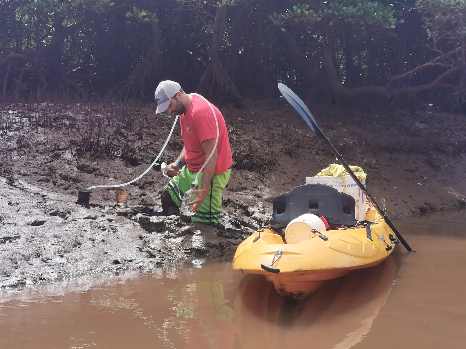 Interstitial water sampling for pesticide detection