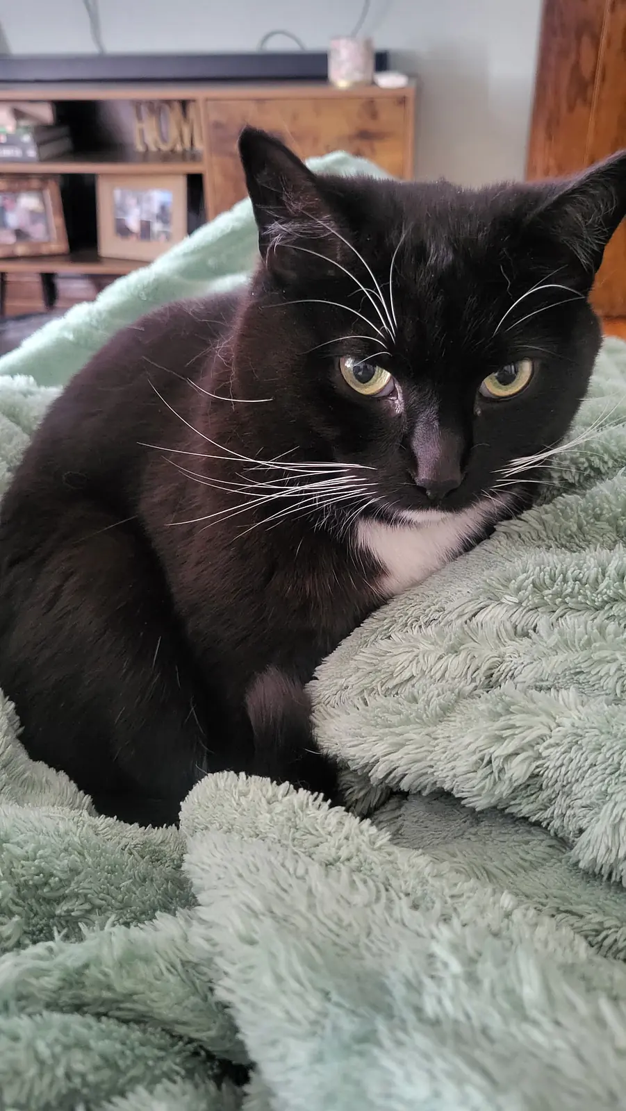 Peppercorn