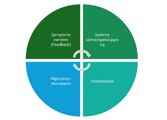 Podstawowe Koncepcje Cybernetyki
