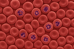 Banner image placeholder