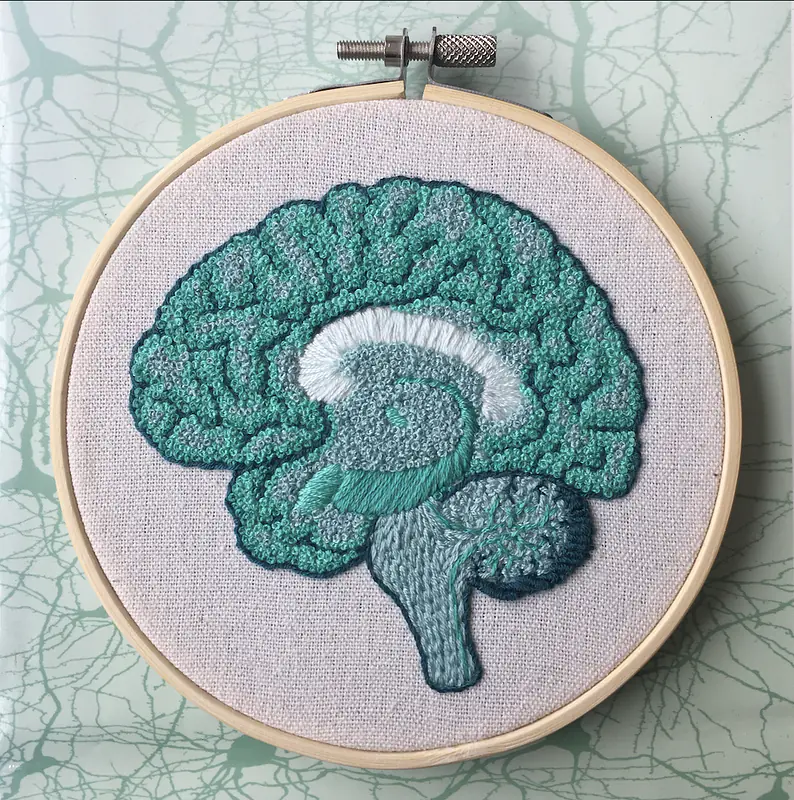 Teal Sagittal Monochrome