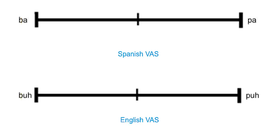 Visual analogue scales (VAS)