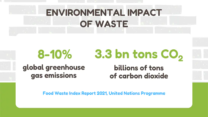 Infographic on the environmental impact of food waste 
