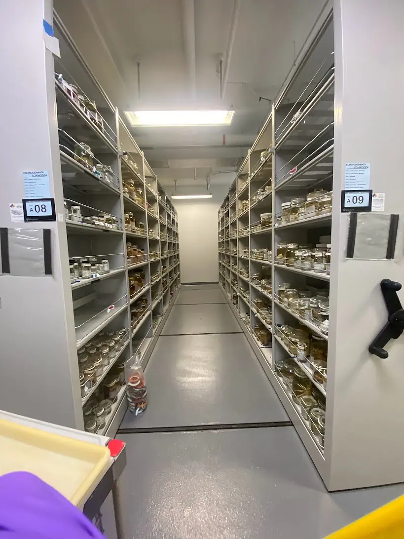 Just one aisle of specimens