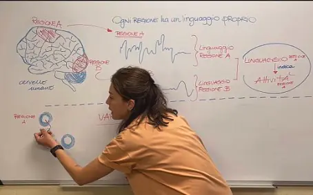 Teaching high school students in Italy (virtually) about the brain
