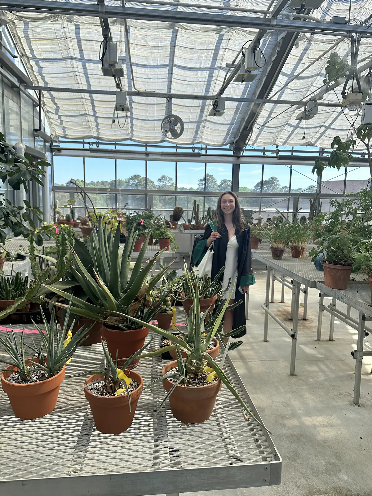 I volunteered in the W&M greenhouse for three years!