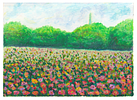 Banner image placeholder