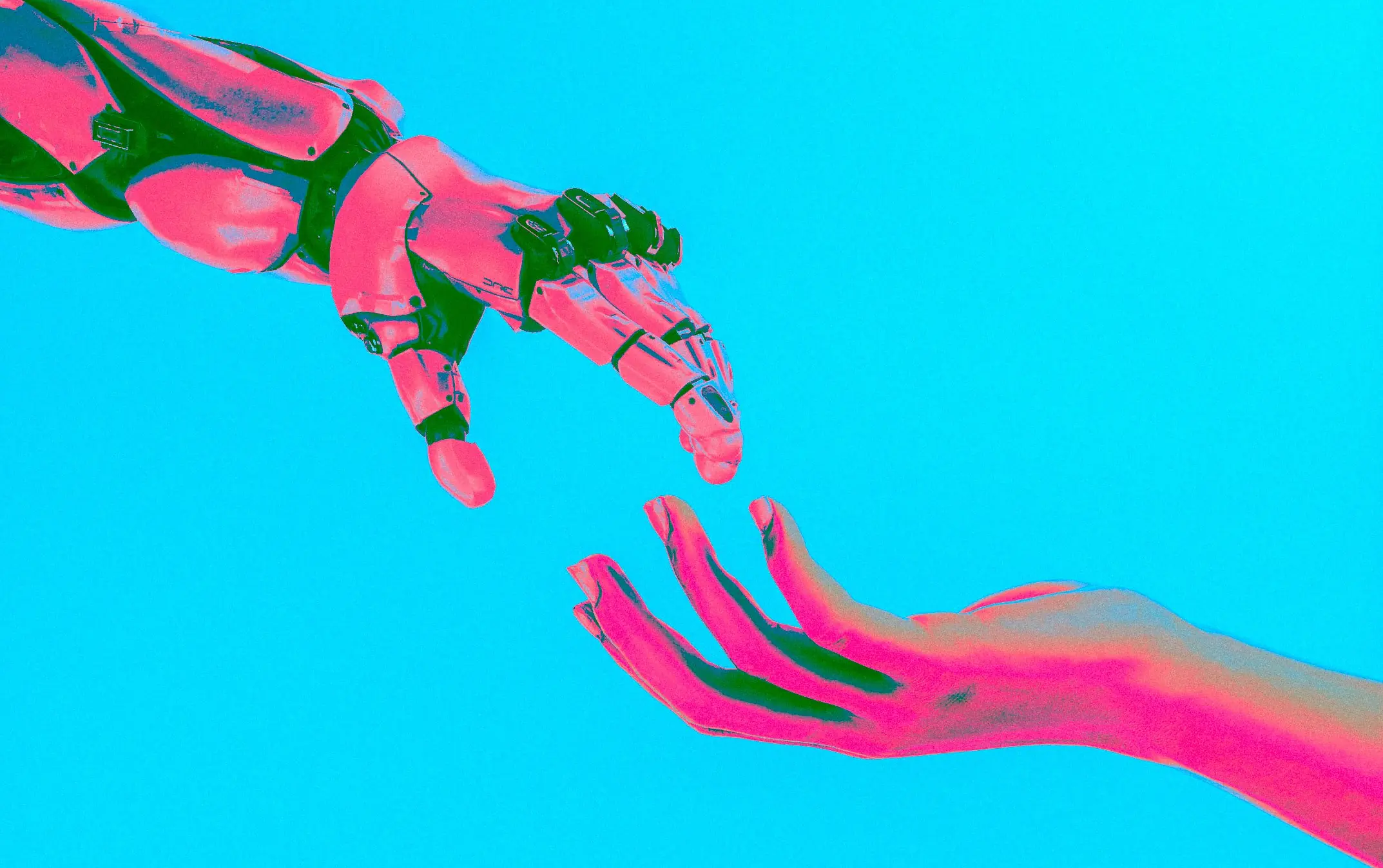 Banner image