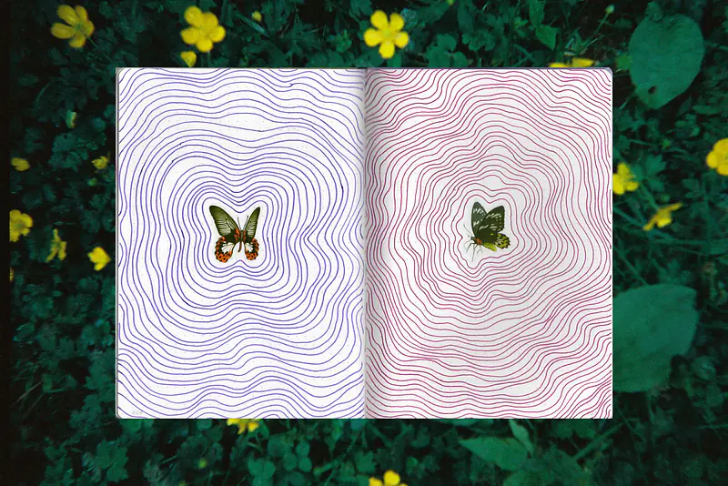 The last two pages