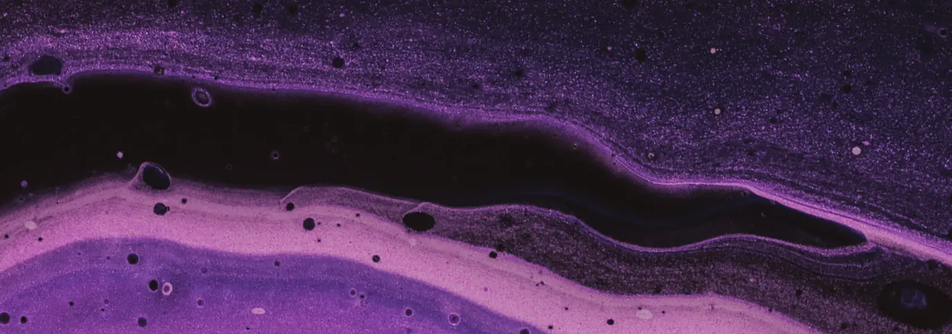 Banner image