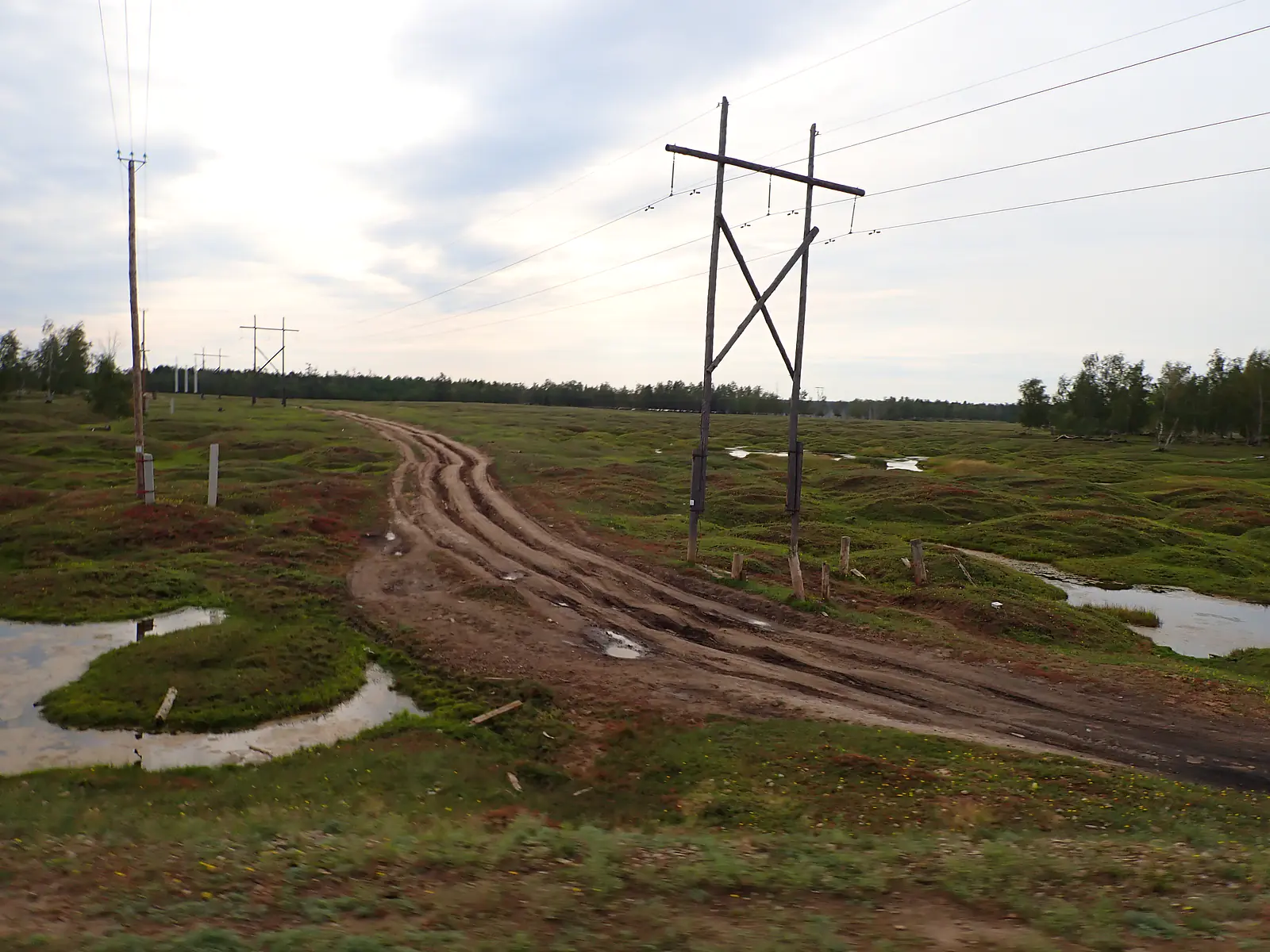 Russia, Republic of Sakha (Yakutia), Churapchinsky District (2021): Track through degrading permafrost polygons (byllar)