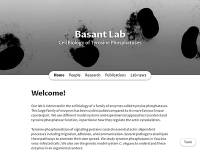 Basant Lab