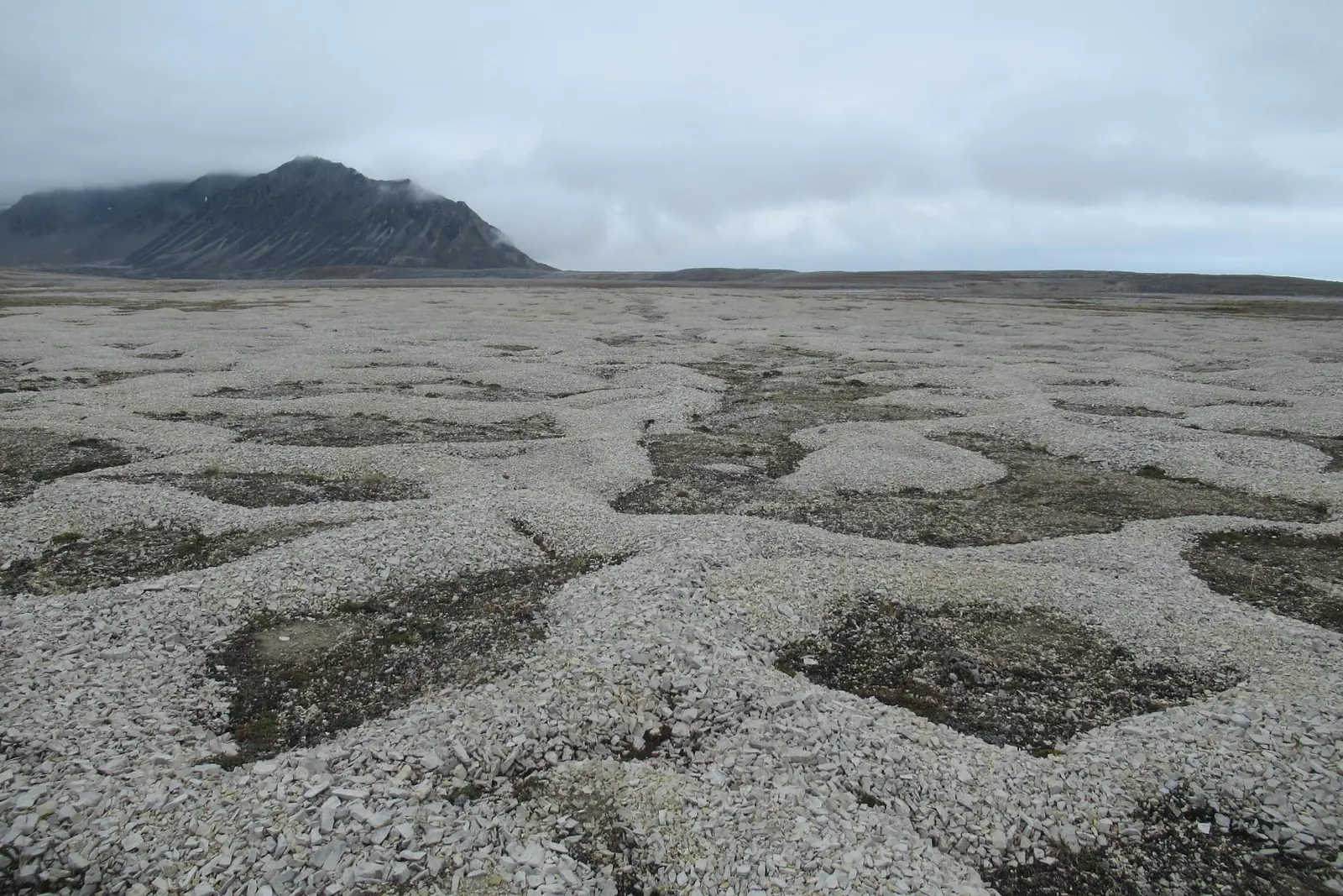 Sorted stone circles - nature does this!