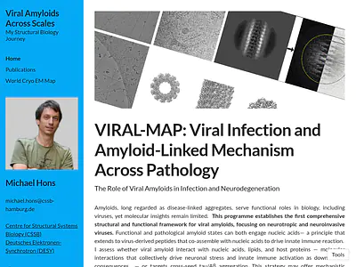 Viral Amyloids Across Scales