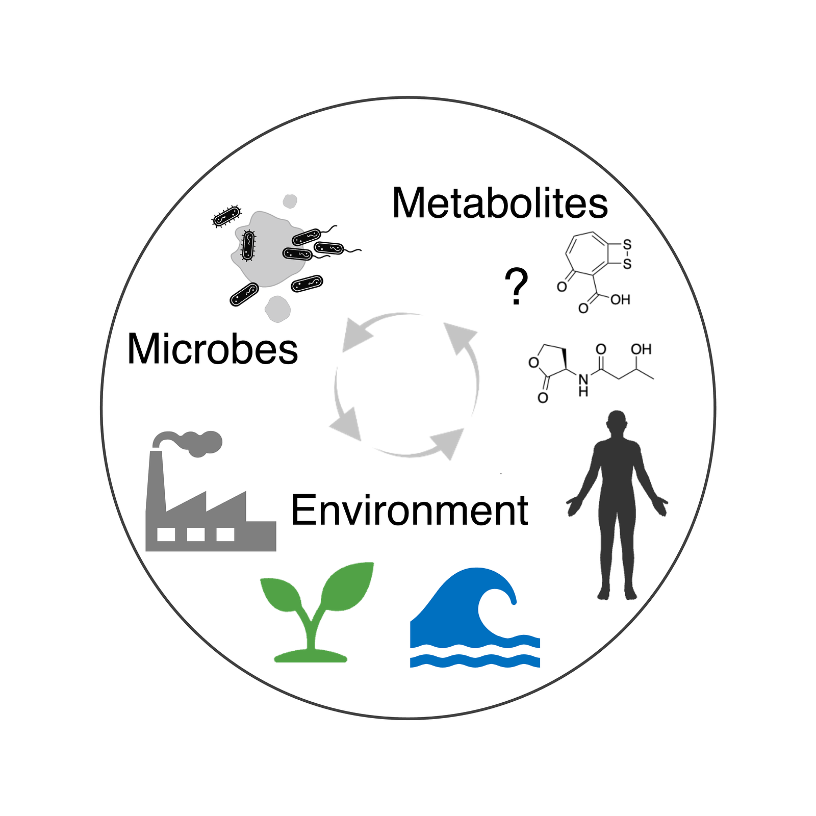 Circle containing microbes, metabolites, and environment, linked by carbon cycle in center