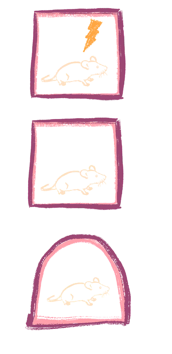 Fear Conditioning, a test of learning and memory in mice. 