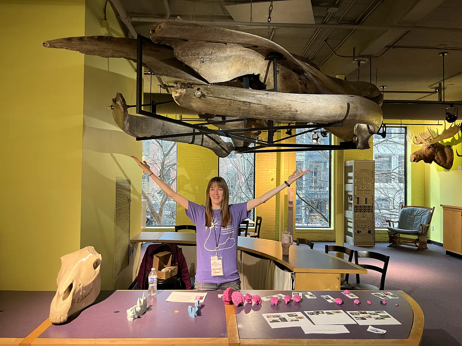 Health & Wellness Days 2026: Mammal Skulls & Brains