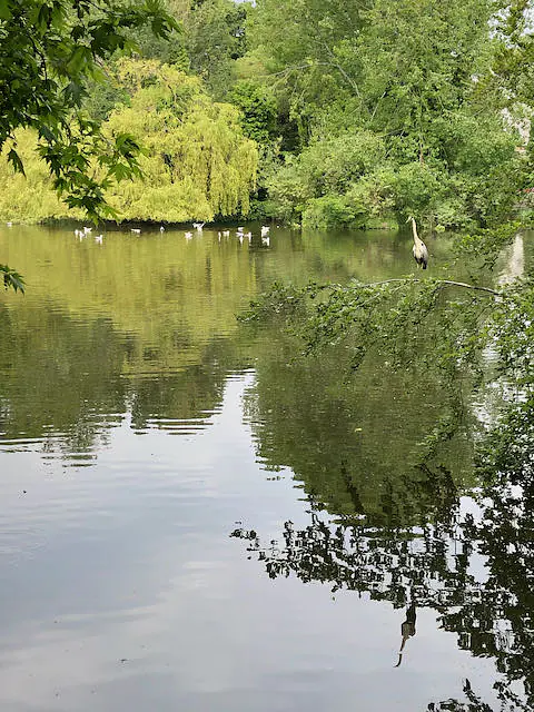 St. Stephen's Green, Ornamental Lake