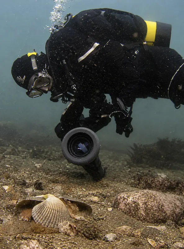 Setting up motion detecting (OCTOPUS) cameras
