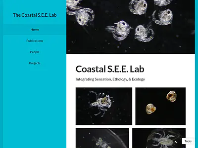 The Coastal S.E.E. Lab