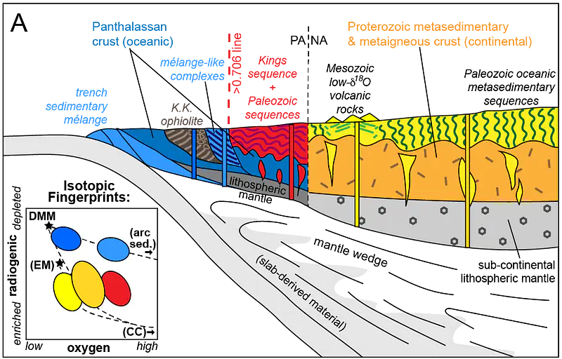 A cartoon of the Mesozoic subduction zone that formed the Sierra Nevada, showing that mafic intrusions inherit the isotopic fingerprint of their local crustal column.