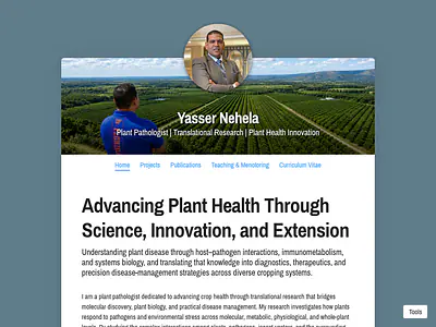 Yasser Nehela 
