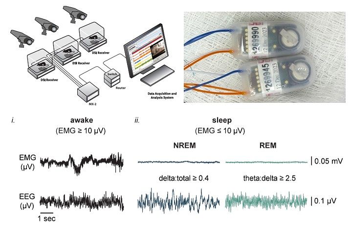 Image of the layout of the EEG/EMG telemetry system, along with pictures of the transmitters and representative data.