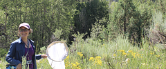 Banner image placeholder