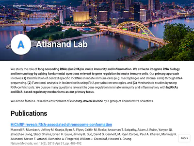 Atianand Lab