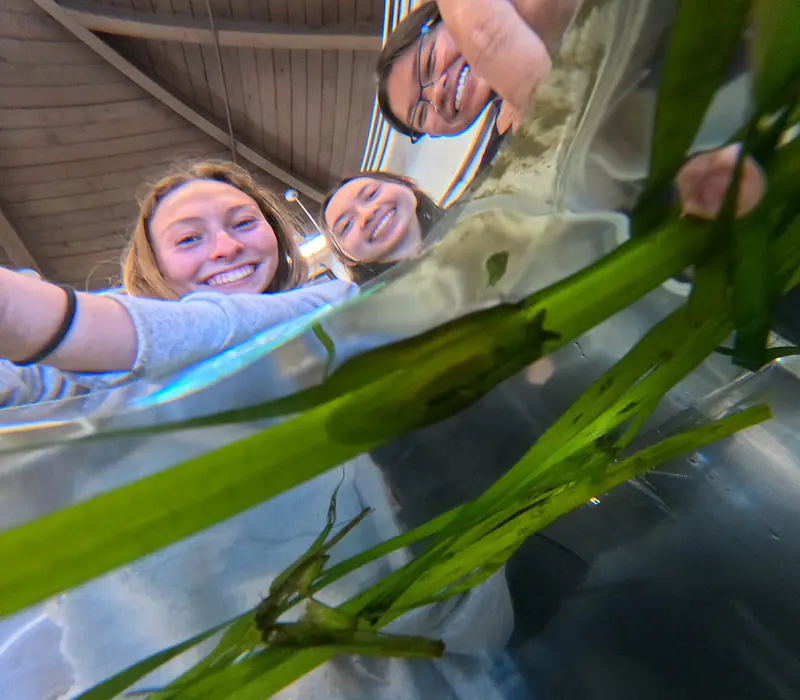 Selfie with one of our lab sea hares