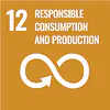 SDG12