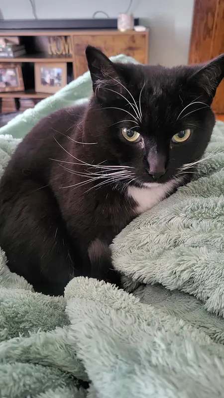 Peppercorn